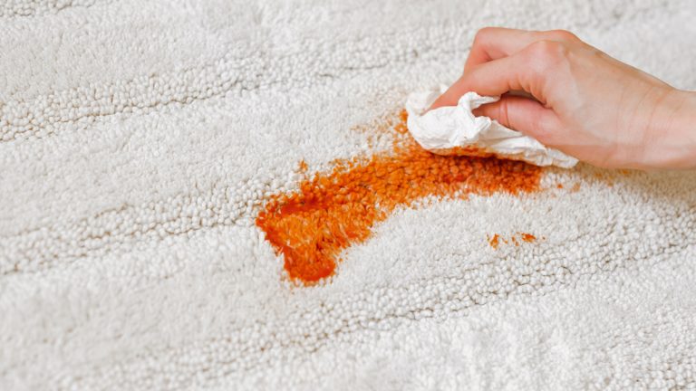 stain removal on carpet